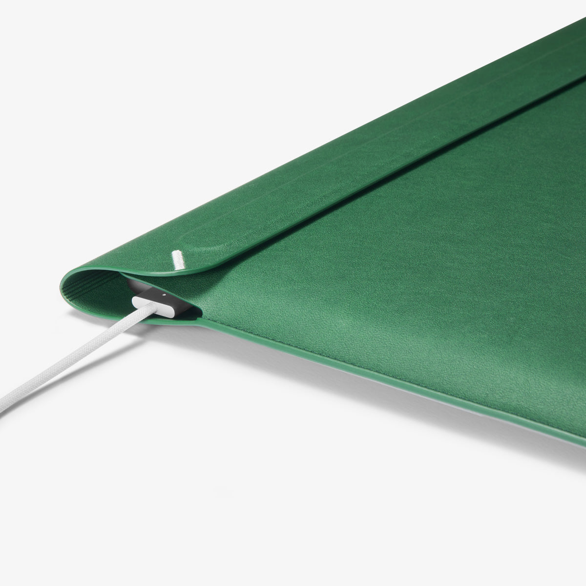 Valentinus S Laptop Pouch