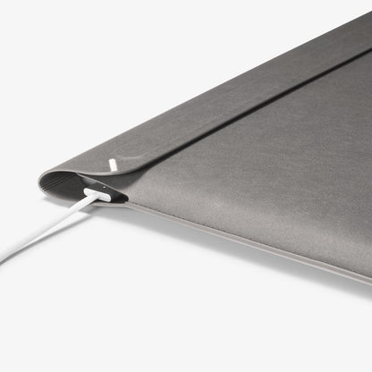 Valentinus S Laptop Pouch