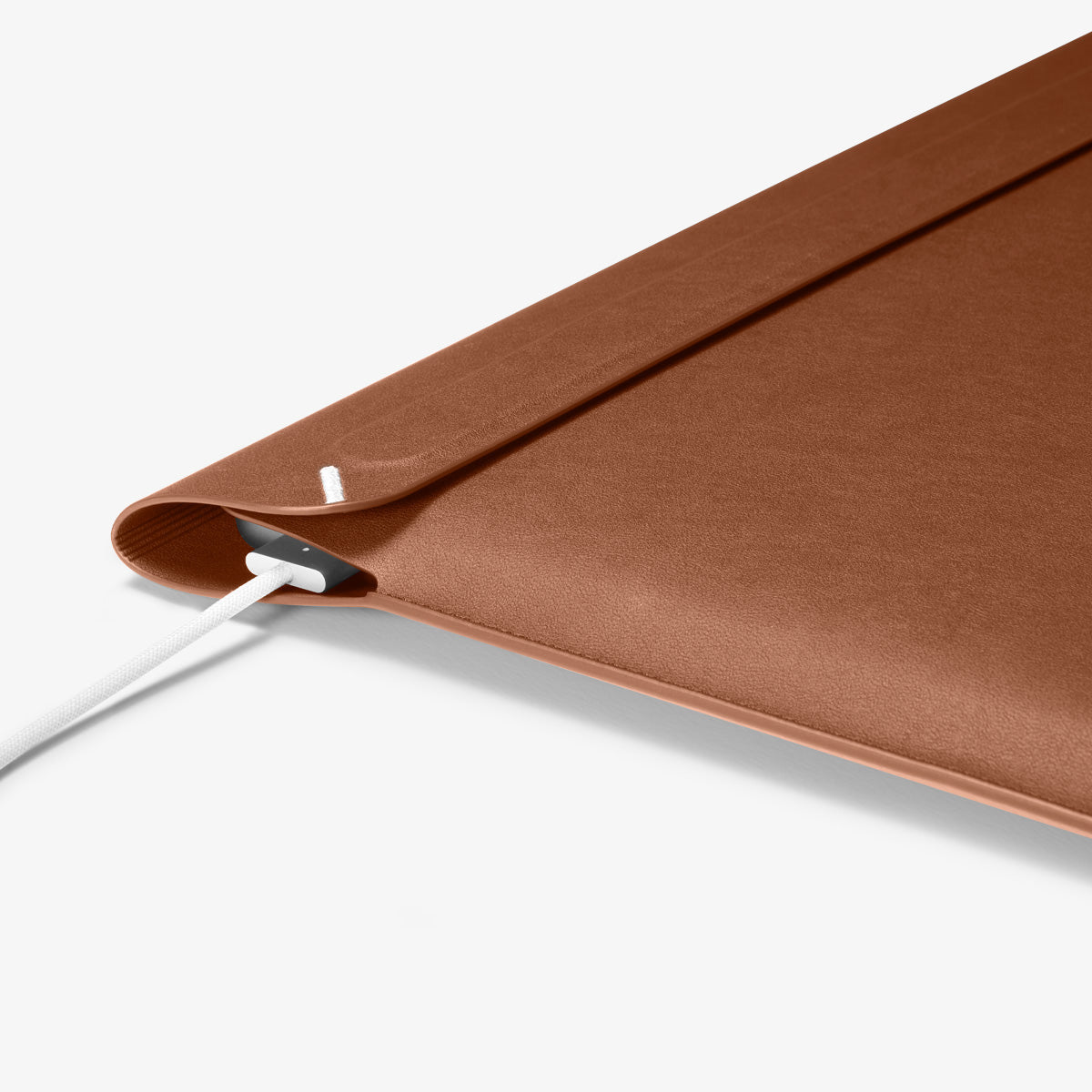 Valentinus Laptop Pouch